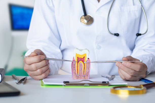 Best Emergency Dentist for Knocked-Out Tooth in Ranchettes, WY